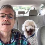 Mark Ellis - @markellis658 - Instagram