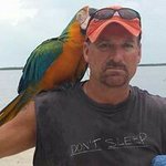 Mark Emerick - @ljrooster - Instagram