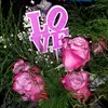 Mark Tiffany Emigh - @pickles.pickles.pickles1 - TikTok
