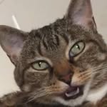 Mark Engelman - @engelman72mark - Instagram