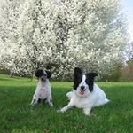 Mark Engle - @engle_mark - Instagram