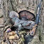 Mark Christopher - @markengstrom849 - Instagram