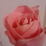 Mark Enns - @ennsmark - Instagram