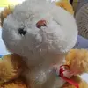 Mark Efphraim - @markephraim1 - TikTok