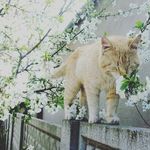 Mark Ephraim - @markephrs - Instagram