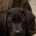 Mark Epperson - Facebook
