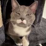 Mark Epperson - @mark.epperson.3323 - Instagram