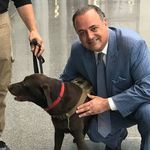DR MARK EPSTEIN - @drmarkepstein6 - Instagram