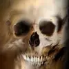mark epstein - @mark.epstein8 - TikTok