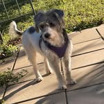 Mark Epstein - @epsteinmark - Instagram