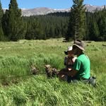 Mark Estes - @wyomingwoodwright - Instagram