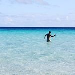 Mark Etheridge - @mark_fish_etheridge - Instagram