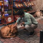 "Маркетолог | Специалист по цифровому маркетингу". - @marketking.kz - Instagram