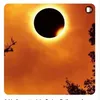 Mark even - @mark.even3 - TikTok