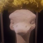 Mark everitt - @me_tiggar - Instagram