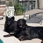 Mark Everson - @everson.mark - Instagram