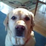 Mark Ewart - @ewart.mark - Instagram
