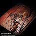 Mark Ewell - Facebook