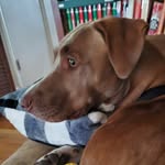 mark ewell - @mewell0786 - Instagram