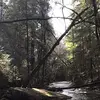 Mark Ewell - @mark.ewell4 - TikTok