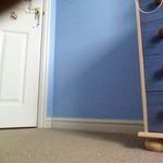 mark exley - @markexley1975 - Instagram