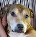 Mark Exley - Facebook