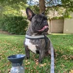 Mark Eyman - @eymanmark - Instagram