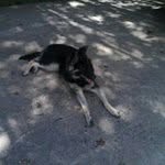 Mark Faircloth - @fairclothmark - Instagram
