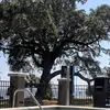 mark faircloth - @markfairc - TikTok