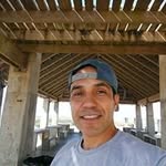 Mark Falcon - @falcon4762 - Instagram