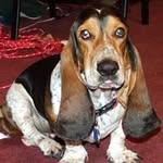 Mark Fallace - @markfallace - Instagram