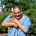 Mark Falzone - @mfalzone1815 - Instagram