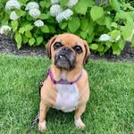 Mark A Farley - @__mark__farley__ - Instagram