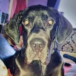 Mark Farley - @farley1497 - Instagram