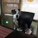 Mark Farnes - Facebook