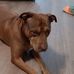 Mark Farino - Facebook