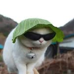 @mark_fast_af - Instagram