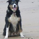 Mark Feather - @fevoo7 - Instagram