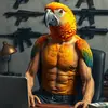 Parrot barrack - @mark_feathers_manager - TikTok