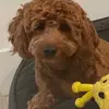Marc - @marcfeigenbaum - TikTok