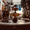 markferguson_12 - @markferguson_12 - TikTok