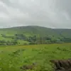 Mark ferland - @mark.ferland - TikTok