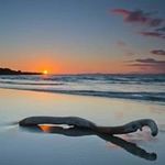 Mark Ferland - @ferlandmark - Instagram