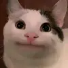 Mark Fermin - @mark.fermin16 - TikTok