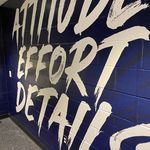 Mark Ferrante - @ferrante2174 - Instagram