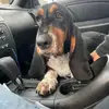 markfarris8fiish - @mark8fish - TikTok