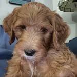 Mark Fishman - @markfishman76 - Instagram