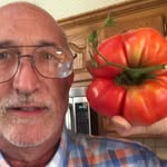 Mark Fishman - @marfishman - Instagram
