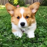 Mark - @mark.fishman88 - Instagram