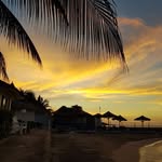 Mark Anthony Fitzpatrick - @markfitzpatrick999 - Instagram